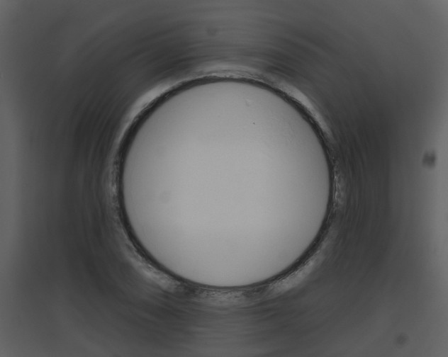 X0000094791074200711160911