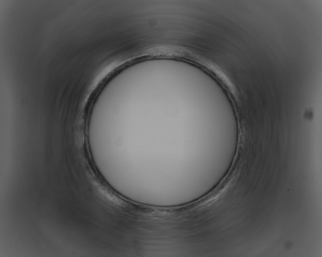 X0000094791075200711160911