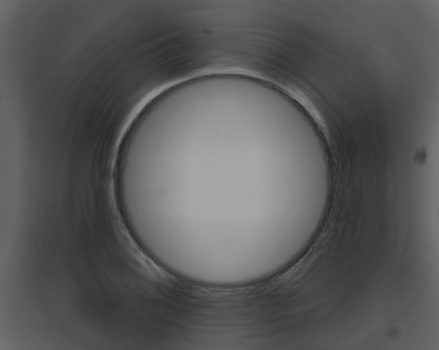 X0000094791076200711160911