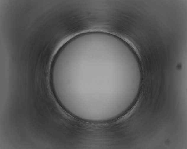 X0000094791077200711160911