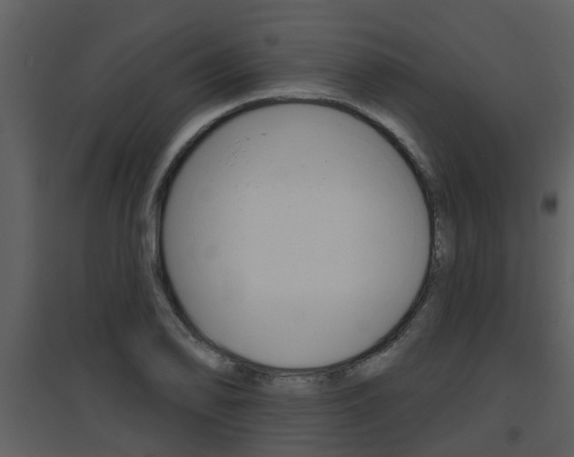 X0000094791078200711160911
