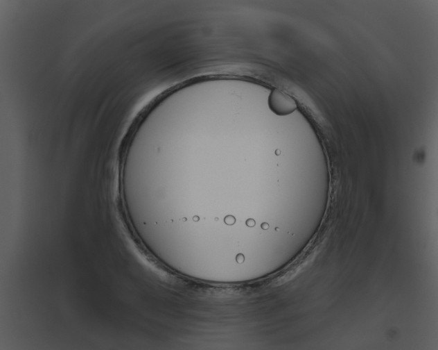 X0000094791079200711160911