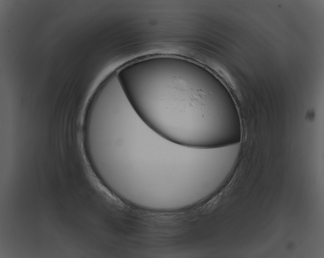X0000094791080200711160911