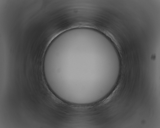 X0000094791081200711160911