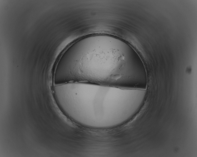 X0000094791082200711160911