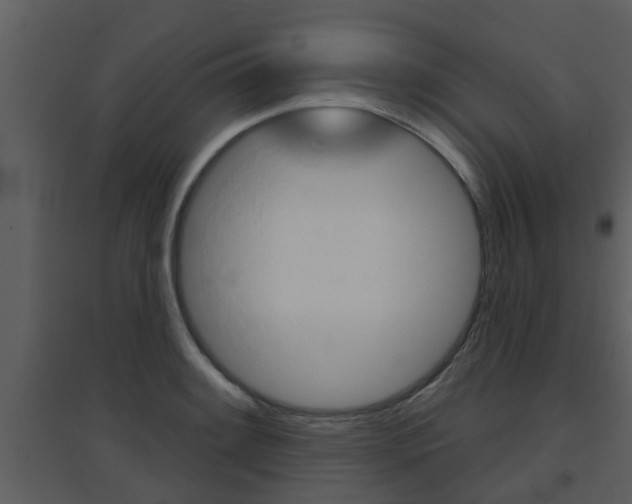 X0000094791084200711160911