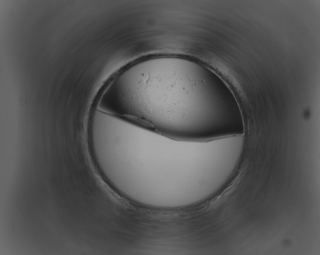 X0000094791085200711160911