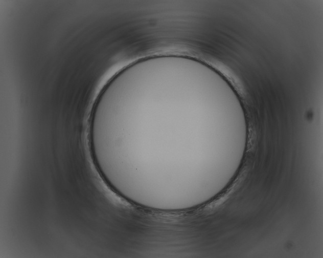 X0000094791086200711160911