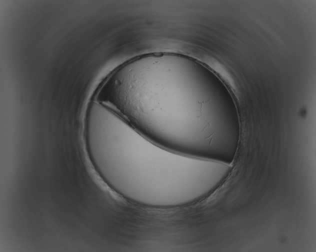 X0000094791088200711160911
