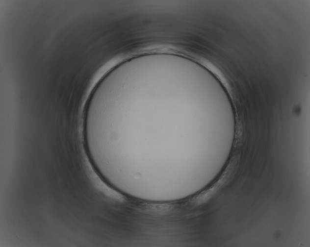 X0000094791090200711160911