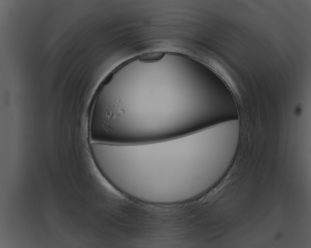 X0000094791092200711160911