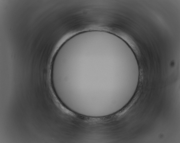 X0000094791094200711160911