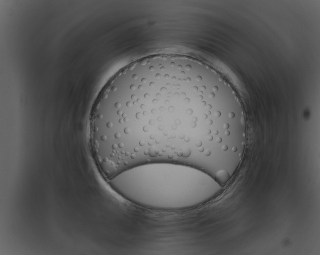 X0000094791095200711160911