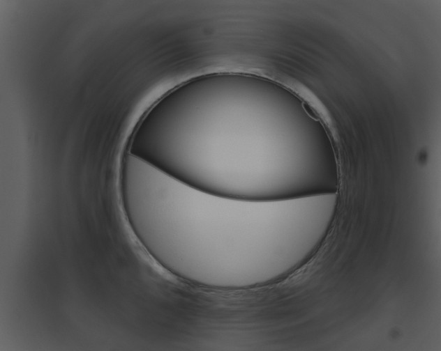 X0000094791096200711160911