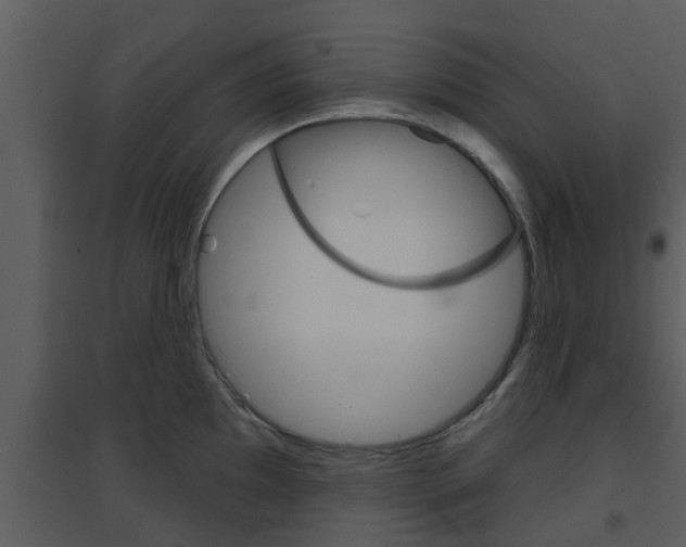 X0000094791097200711160911