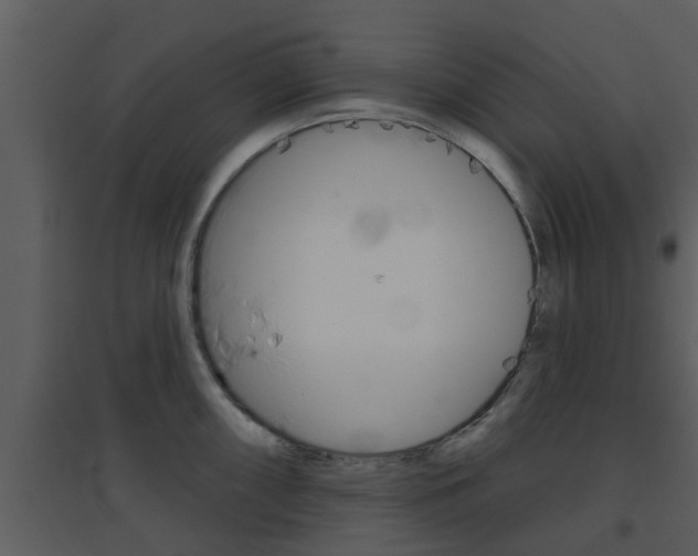 X0000094791098200711160911