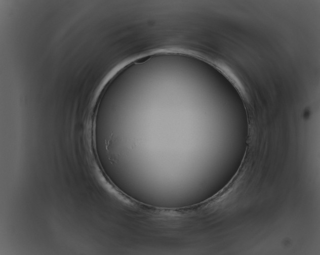 X0000094791100200711160911
