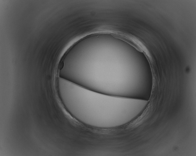 X0000094791101200711160911