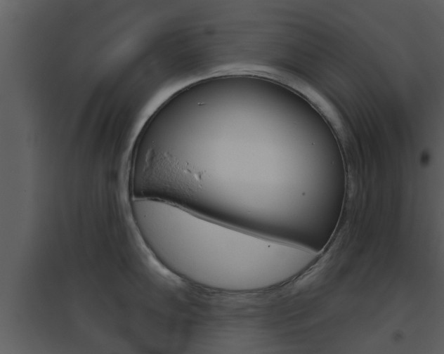 X0000094791102200711160911