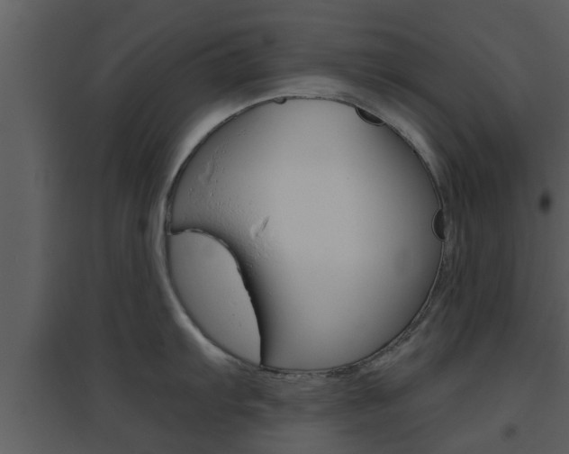 X0000094791103200711160911