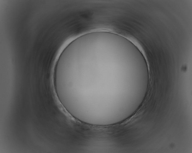 X0000094791104200711160911