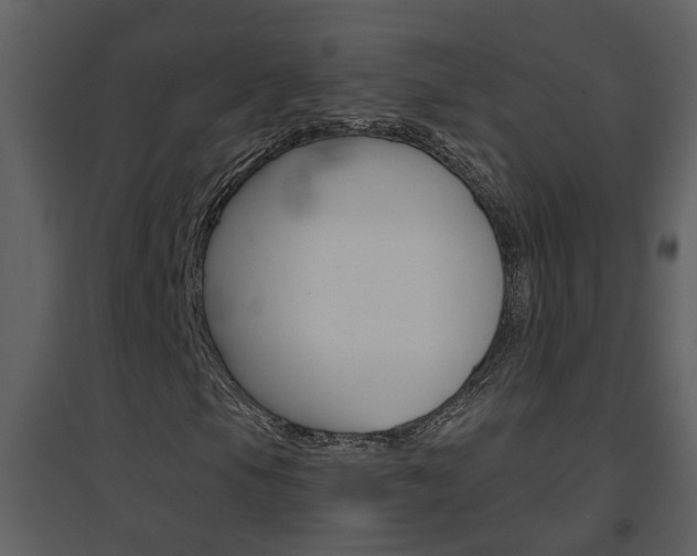 X0000094791105200711160910