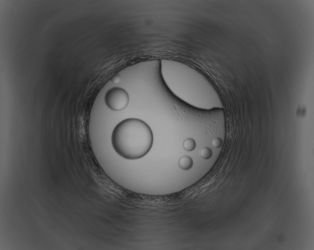 X0000094791106200711160910