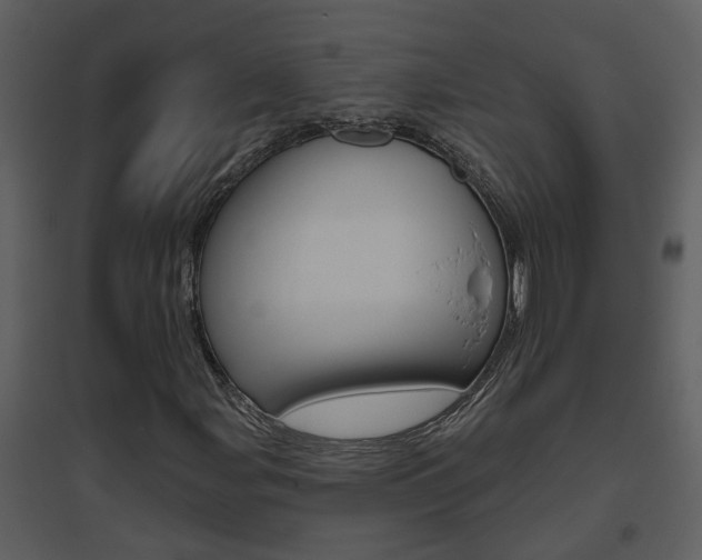 X0000094791107200711160910