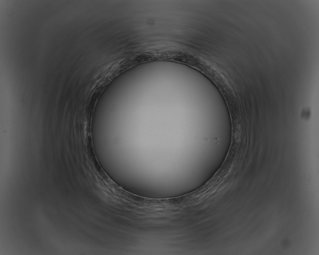 X0000094791108200711160910