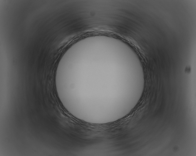 X0000094791110200711160910