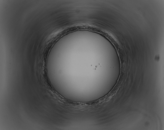 X0000094791111200711160910