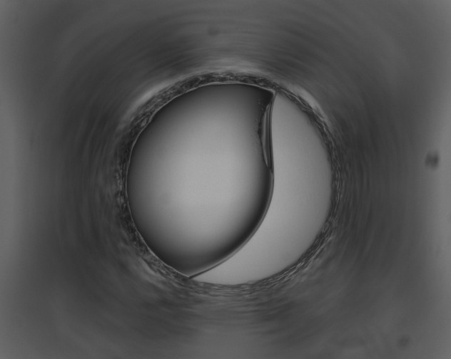 X0000094791112200711160910