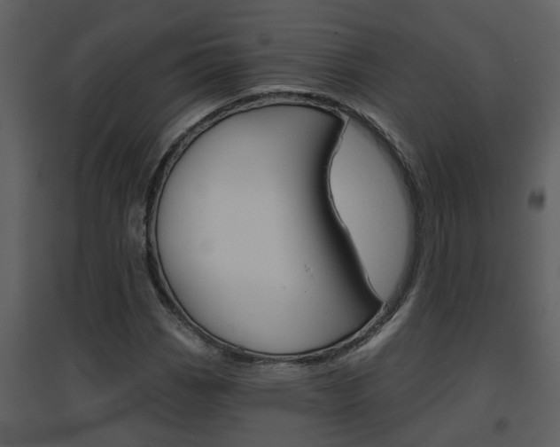 X0000094791113200711160910