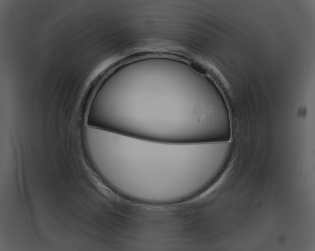 X0000094791114200711160910