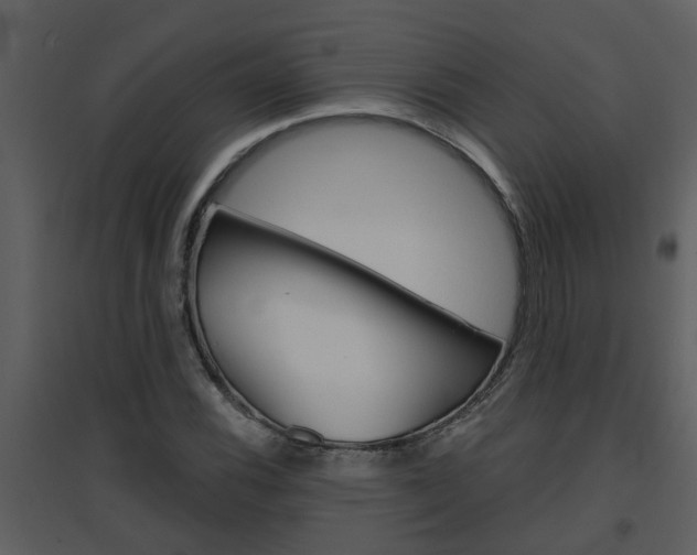 X0000094791116200711160910