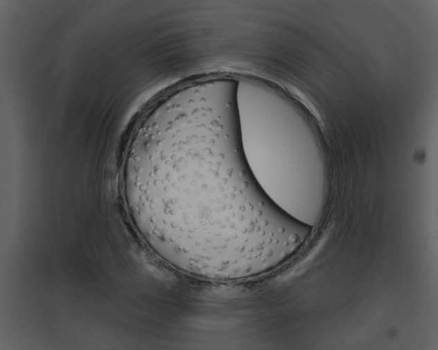 X0000094791117200711160910