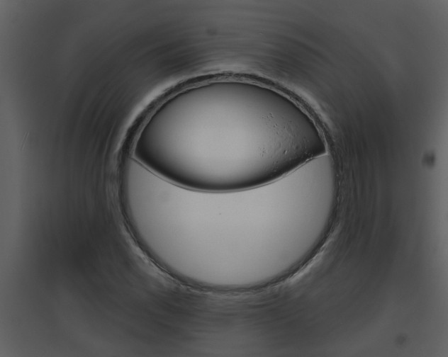 X0000094791118200711160910