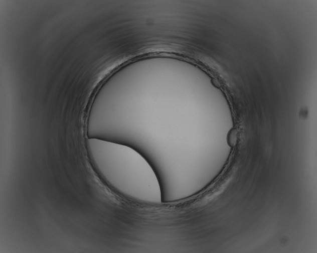 X0000094791121200711160910