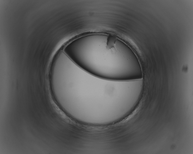 X0000094791122200711160910