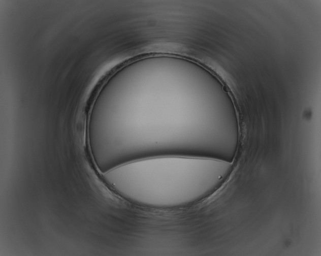 X0000094791123200711160910