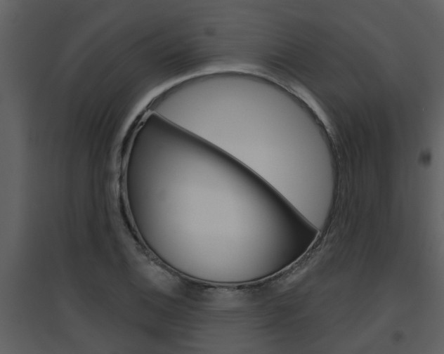 X0000094791124200711160910