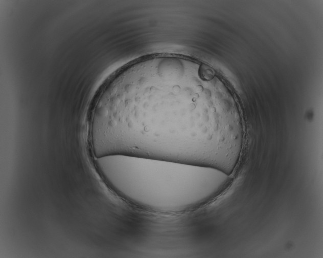 X0000094791125200711160910