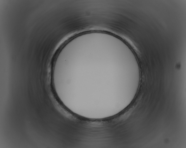 X0000094791126200711160910