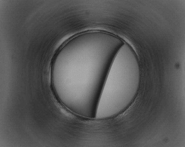 X0000094791127200711160910