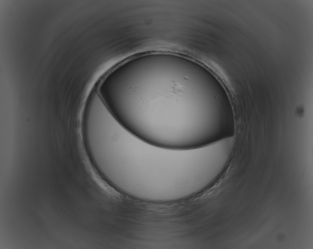 X0000094791128200711160910