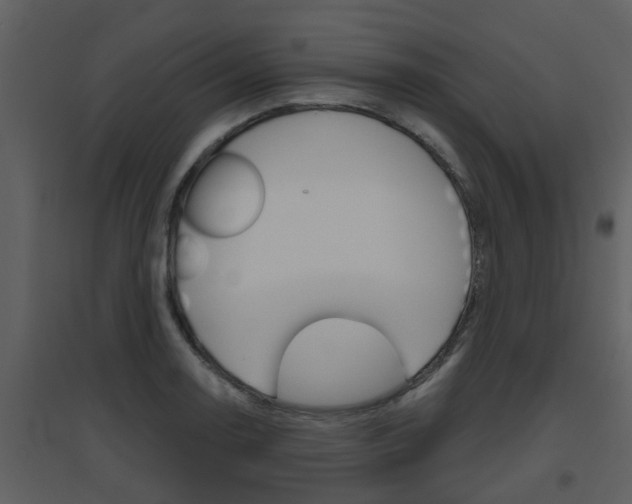 X0000094791130200711160910
