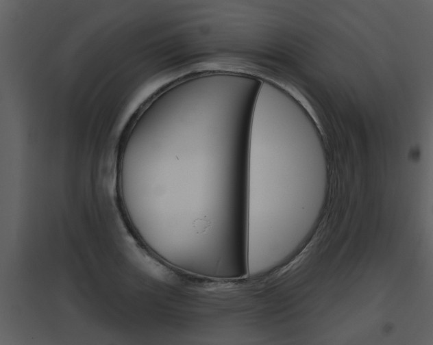 X0000094791131200711160910