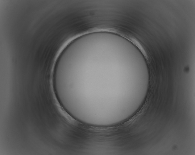 X0000094791132200711160910