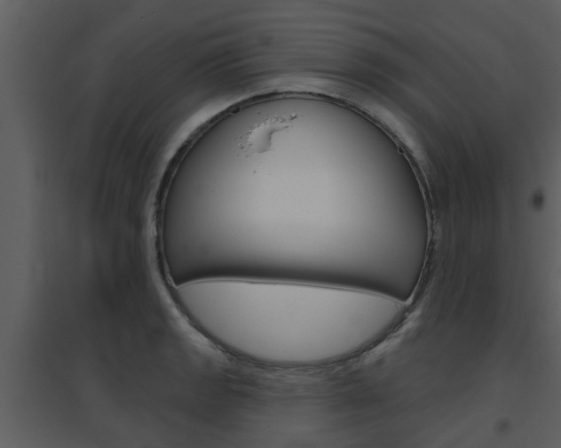 X0000094791133200711160910