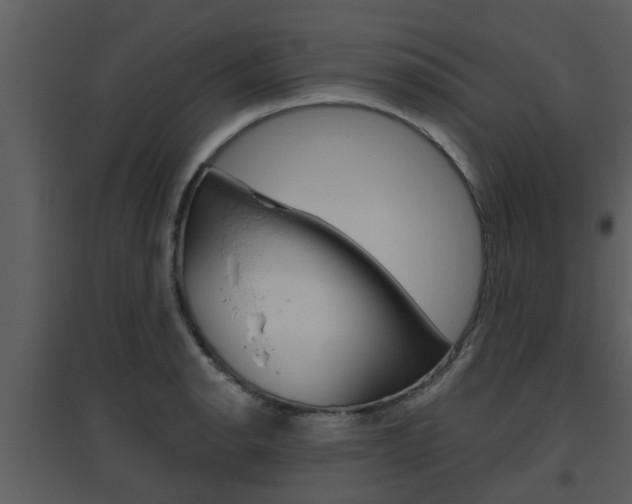 X0000094791134200711160910